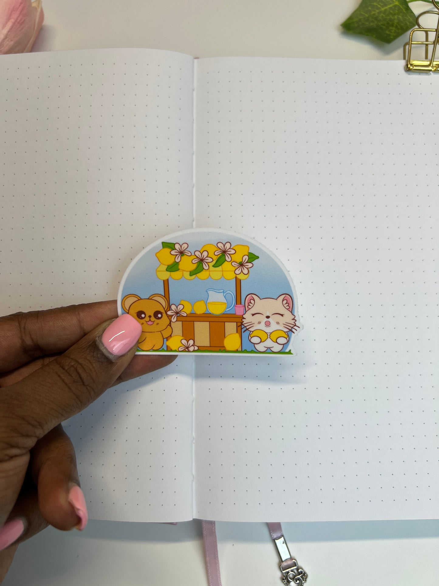 Squeeze the Day Gift Set